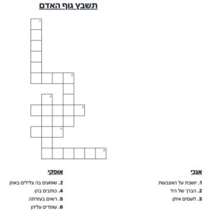 תשבץ גוף האדם להדפסה